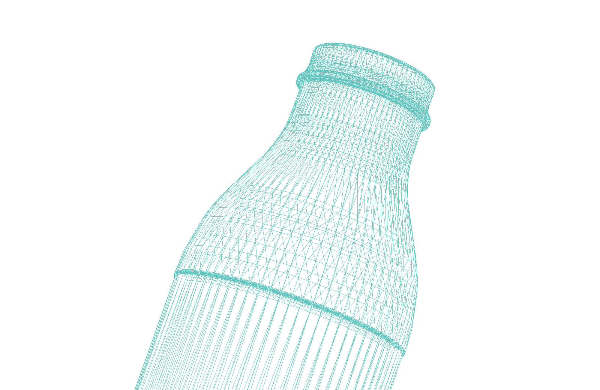 Mesh model of the bottle to be developed