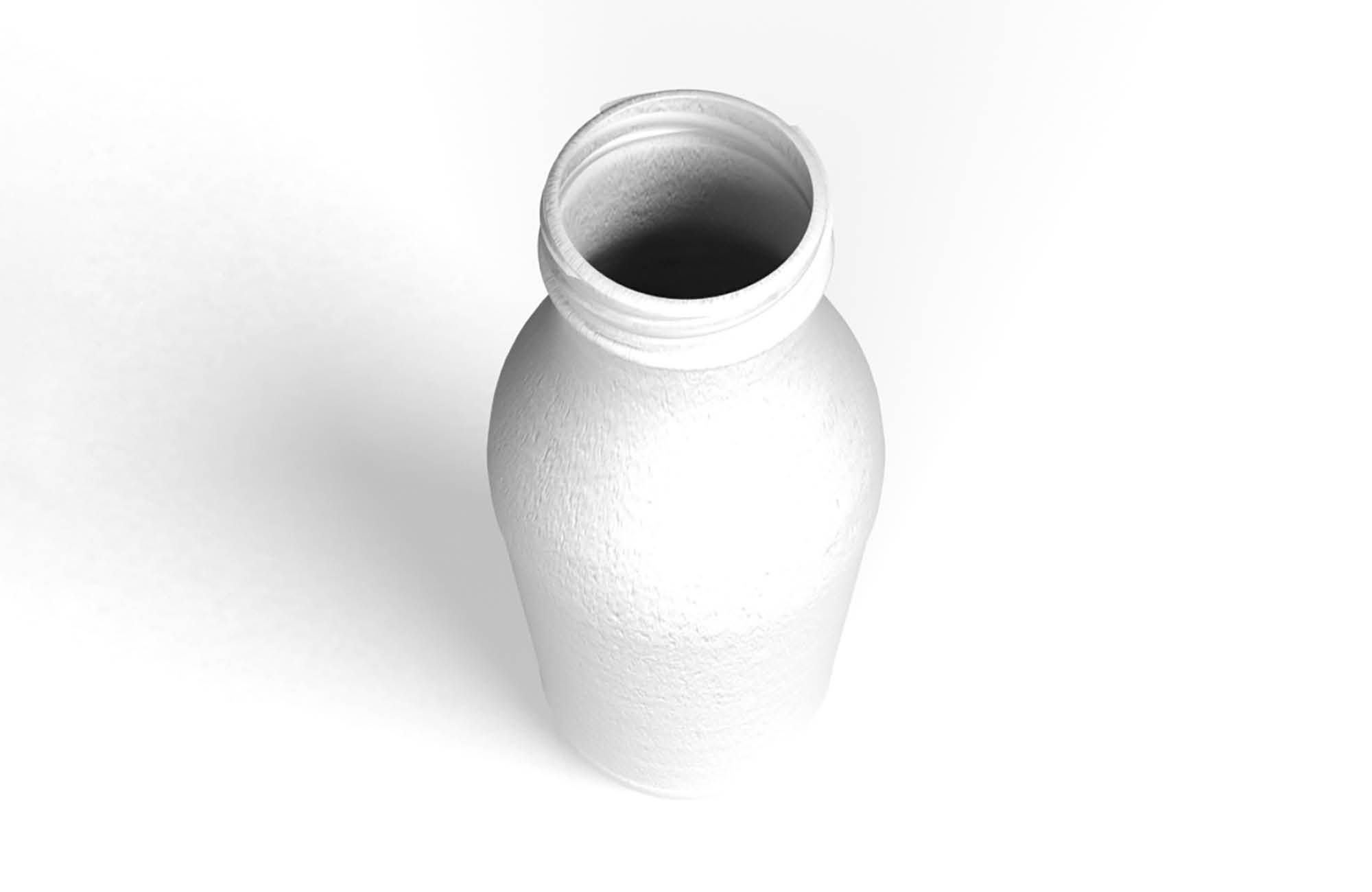 3 D print of the developed bottle