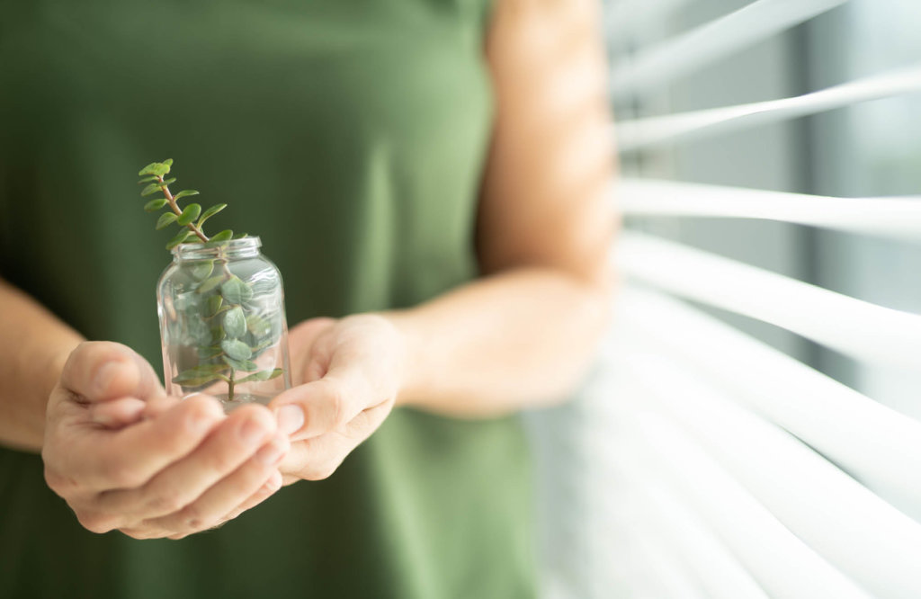 Person is holding a glass bottle with green plants in it
