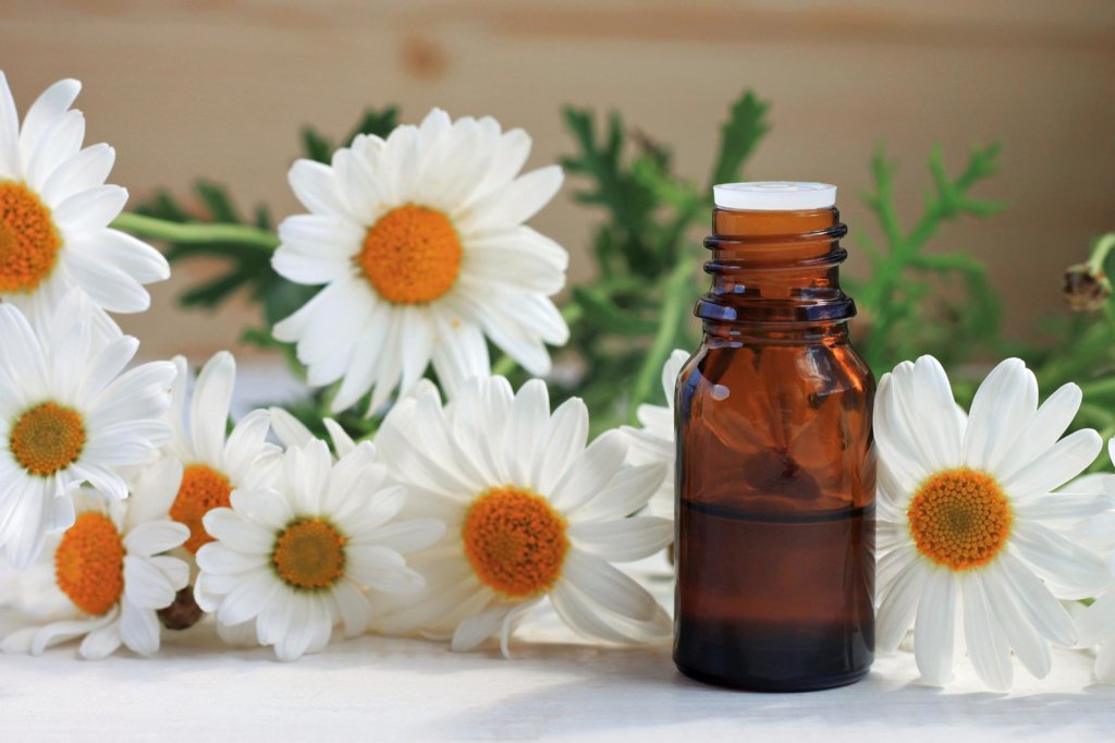 Decorative image - cosmeceuticals products 6 – 2021-12-09