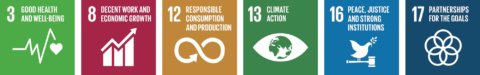 6 of the European sustainability development goals