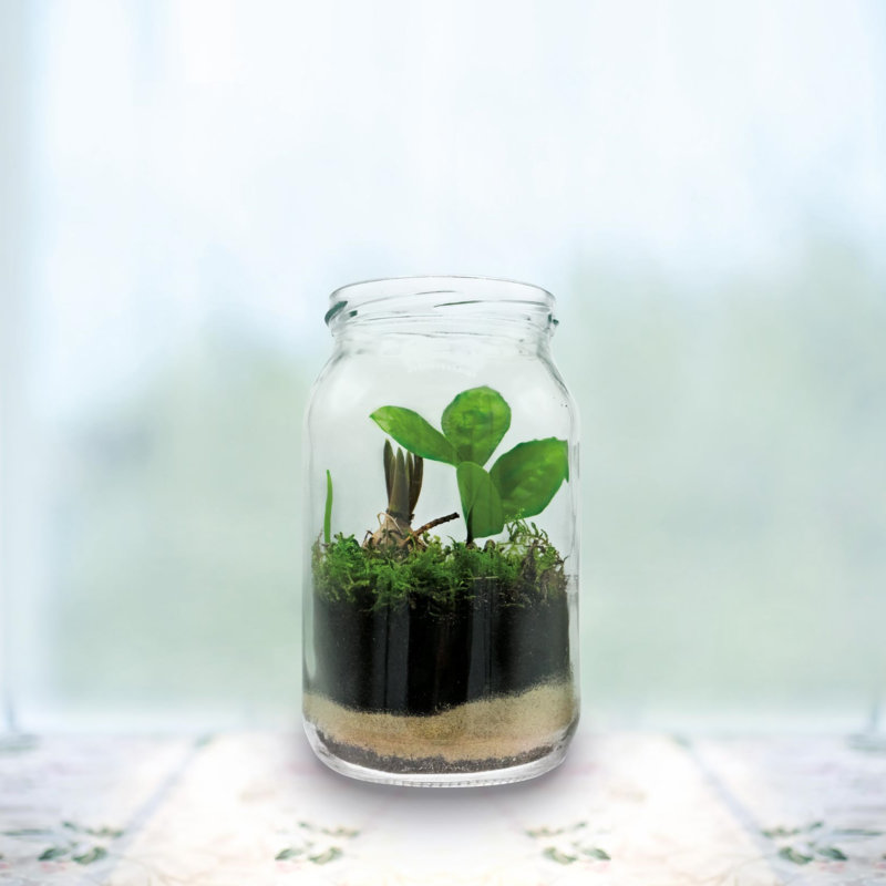 Glass jar filled with sand and plants