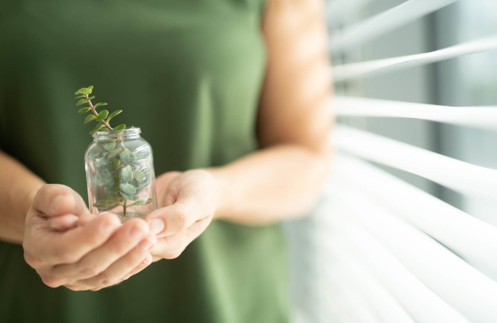 Person hält nachhaltige Glasverpackung mt Pflanze in der Hand