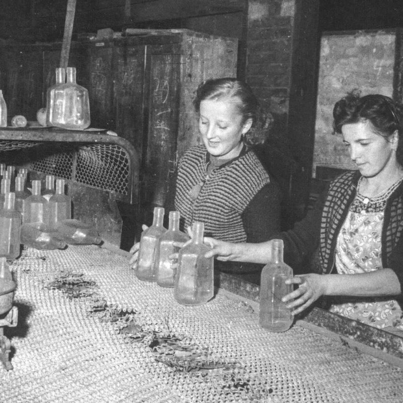 Historic picture showing two women checking glass bottles