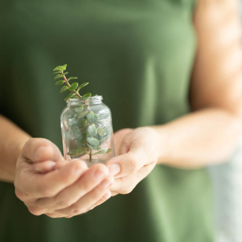 Employee holding plant in jar